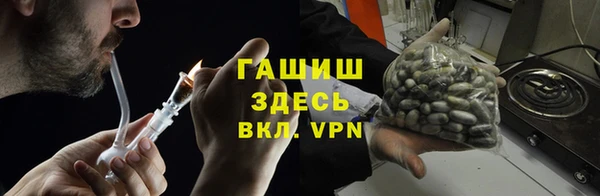 ГАЛЛЮЦИНОГЕННЫЕ ГРИБЫ Белокуриха
