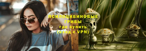 2c-b Белоозёрский