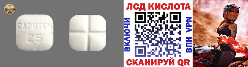 LSD-25 экстази кислота  Городовиковск 