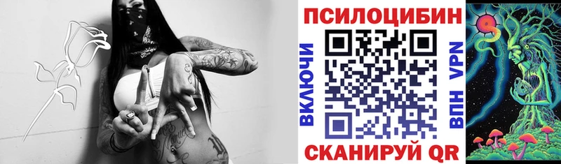 магазин продажи наркотиков  Городовиковск  Псилоцибиновые грибы GOLDEN TEACHER 