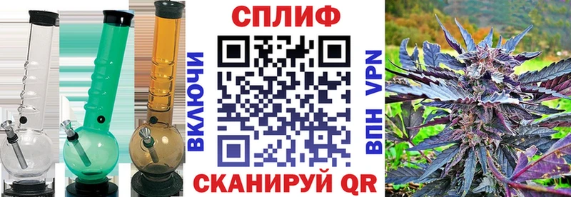 Бошки марихуана планчик  kraken вход  Городовиковск  цена наркотик 